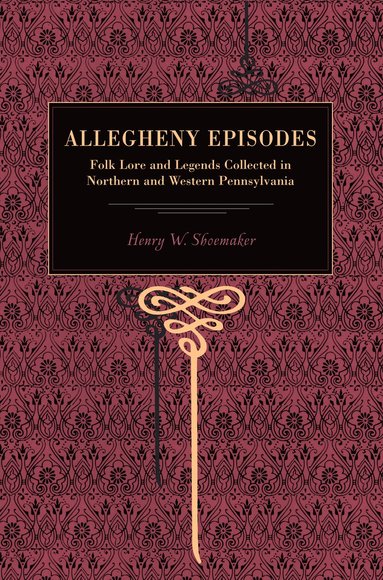 bokomslag More Allegheny Episodes