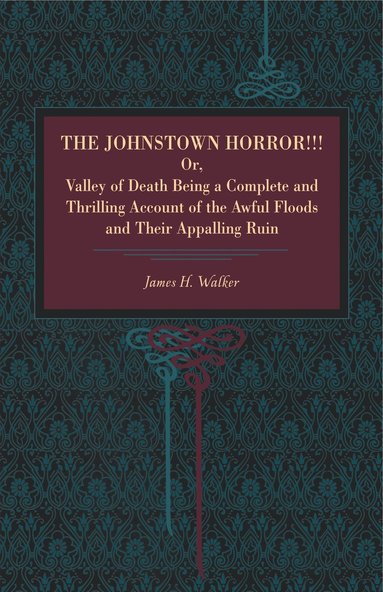 bokomslag Johnstown Horror!!!