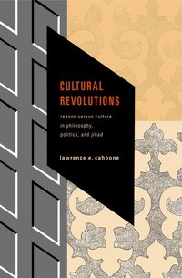 bokomslag Cultural Revolutions