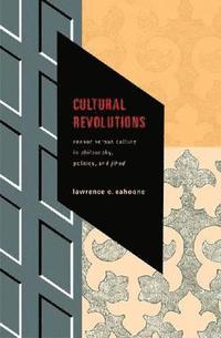 bokomslag Cultural Revolutions