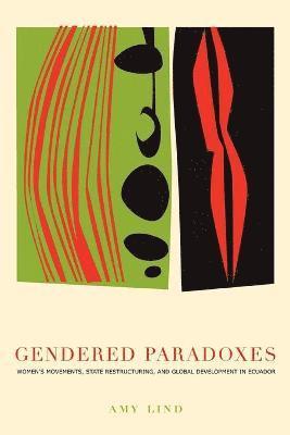 bokomslag Gendered Paradoxes