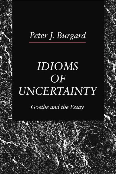 bokomslag Idioms of Uncertainty