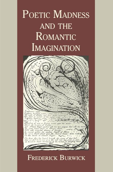 bokomslag Poetic Madness and the Romantic Imagination