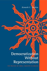 bokomslag Democratization Without Representation