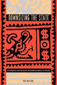 bokomslag Downsizing the State