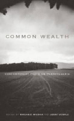 Marjorie Maddox, Jerry Wemple, Jerry (Assistant Professor of English) Wemple - Common Wealth, Häftad