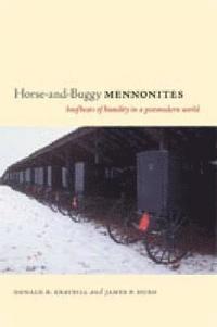 bokomslag Horse-and-Buggy Mennonites