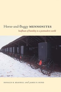 bokomslag Horse-and-Buggy Mennonites