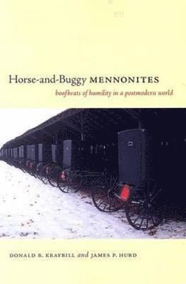 Horse-and-Buggy Mennonites 1