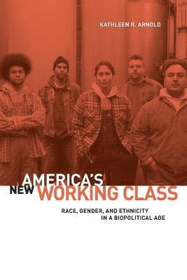 Kathleen R. Arnold, Kathleen R. (Depaul University) Arnold - America's New Working Class, Häftad