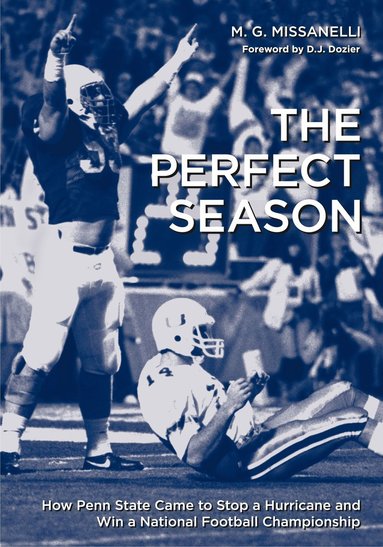 bokomslag Perfect Season