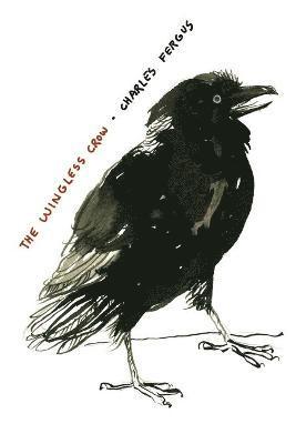 Wingless Crow