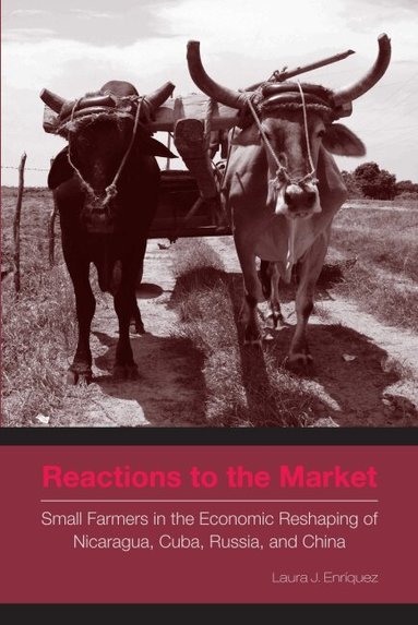 Laura J. Enríquez - Reactions to the Market, Häftad