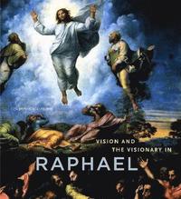 bokomslag Vision and the Visionary in Raphael