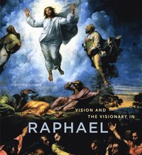 bokomslag Vision and the Visionary in Raphael