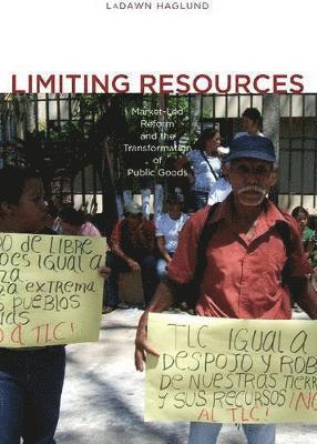 bokomslag Limiting Resources