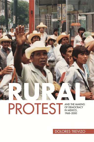 bokomslag Rural Protest and the Making of Democracy in Mexico, 1968-2000