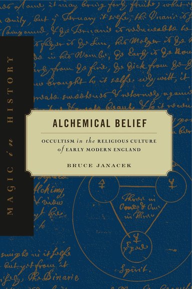 bokomslag Alchemical Belief