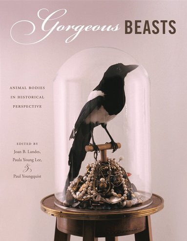 Joan B. Landes, Paula Young Lee, Paul Youngquist - Gorgeous Beasts, Inbunden