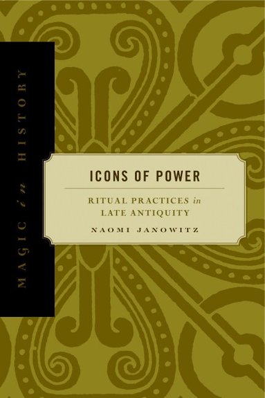 Naomi Janowitz - Icons of Power, Häftad