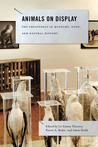 Liv Emma Thorsen, Karen A. Rader, Adam Dodd - Animals on Display, Häftad