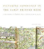 bokomslag Picturing Experience in the Early Printed Book
