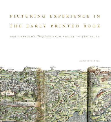 bokomslag Picturing Experience in the Early Printed Book