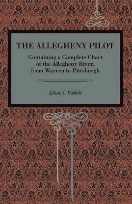 bokomslag The Allegheny Pilot
