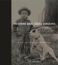 bokomslag Picturing Dogs, Seeing Ourselves