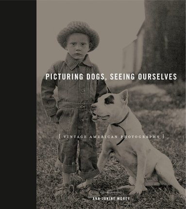 Ann-Janine Morey - Picturing Dogs, Seeing Ourselves, Inbunden