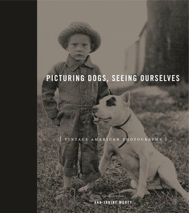 bokomslag Picturing Dogs, Seeing Ourselves