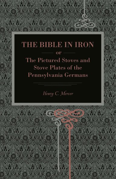 bokomslag Bible in Iron;