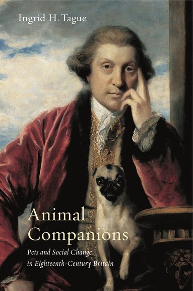 bokomslag Animal Companions