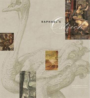 Raphaels Ostrich 1