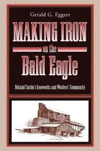 bokomslag Making Iron on the Bald Eagle