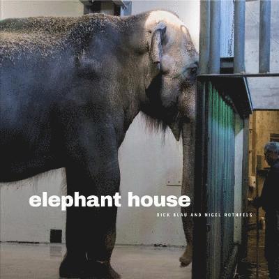 Elephant House 1