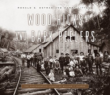 bokomslag Wood Hicks and Bark Peelers