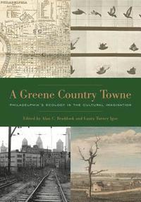 bokomslag A Greene Country Towne