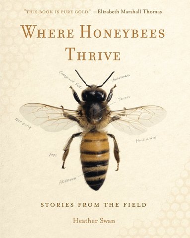Heather Swan - Where Honeybees Thrive, Häftad