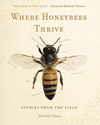 Where Honeybees Thrive 1