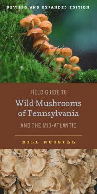 bokomslag Field Guide to Wild Mushrooms of Pennsylvania and the Mid-Atlantic