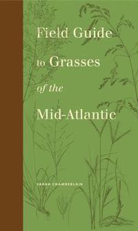 bokomslag Field Guide to Grasses of the Mid-Atlantic