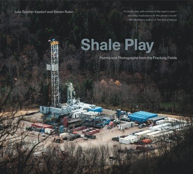 bokomslag Shale Play