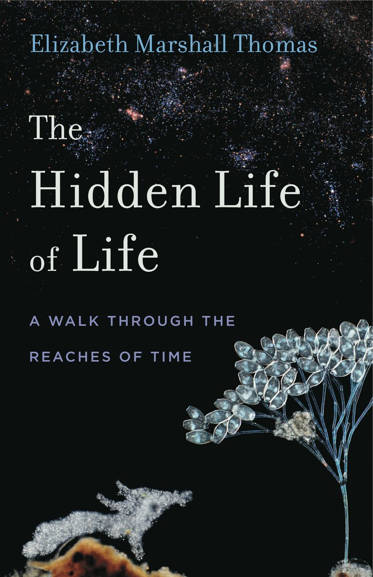 Elizabeth Marshall Thomas - Hidden Life of Life, Inbunden