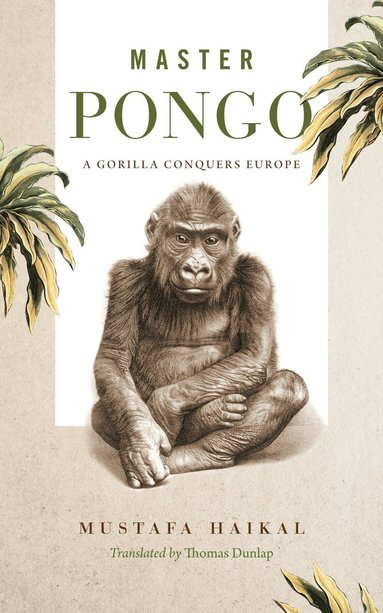 Mustafa Haikal - Master Pongo, Inbunden
