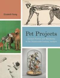bokomslag Pet Projects