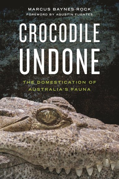 bokomslag Crocodile Undone