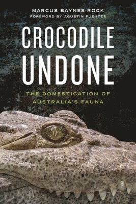 Crocodile Undone