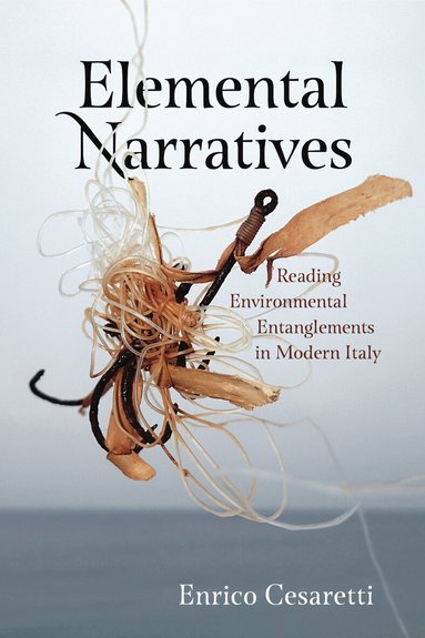 Enrico Cesaretti - Elemental Narratives, Häftad