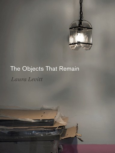 Laura Levitt - Objects That Remain, Inbunden